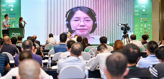當豬肉價格下降后，哪些替代肉類最可能被“擠出”？